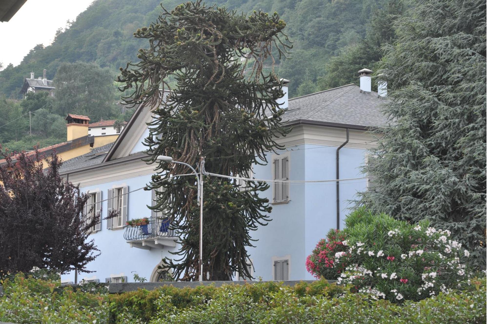 ヴィラ アナマリア B&B ドマーゾ エクステリア 写真